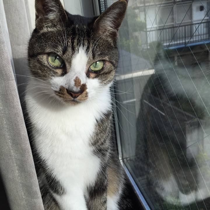 Ecbe1d21 a879 48ac 92ff 512a9c9a0af3