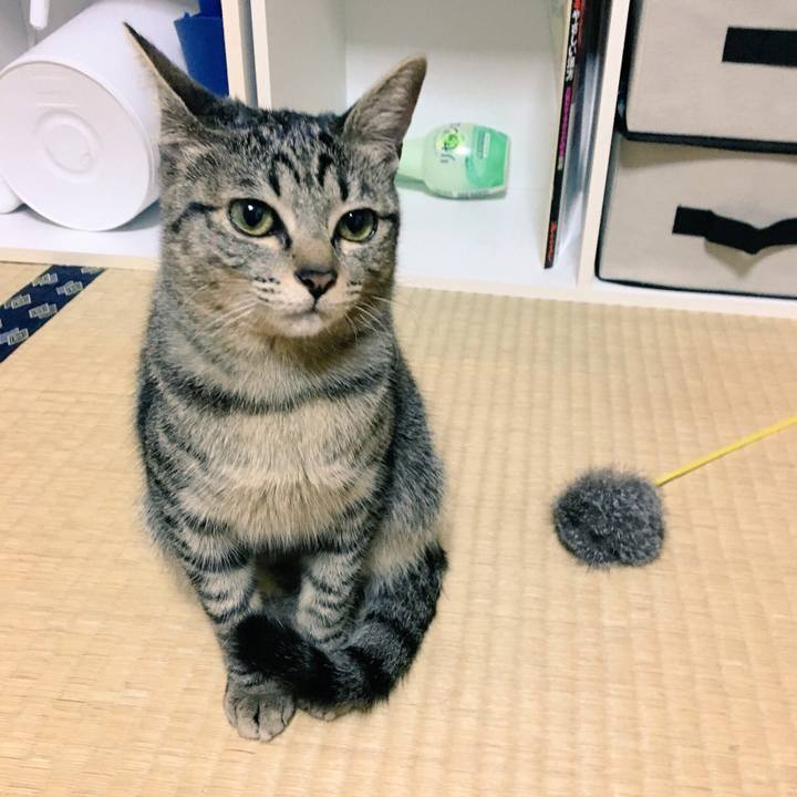 Ecbe3c12 f986 4b74 bf22 90acc3c83791