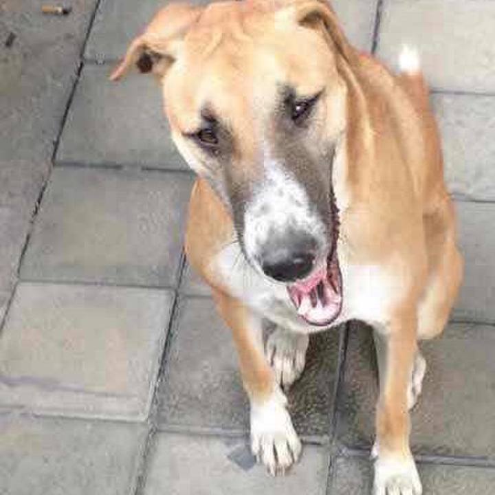 Ecbee94b dc55 4e29 90eb b39c7e03e0ec