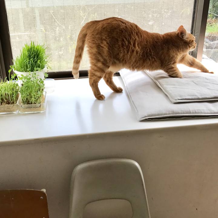 Ecbf72f8 7182 4ca8 aa95 1e5ae74a2272