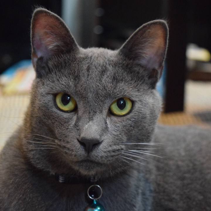 Ecbf7464 c65a 4dd7 9cef bf5f6be74328