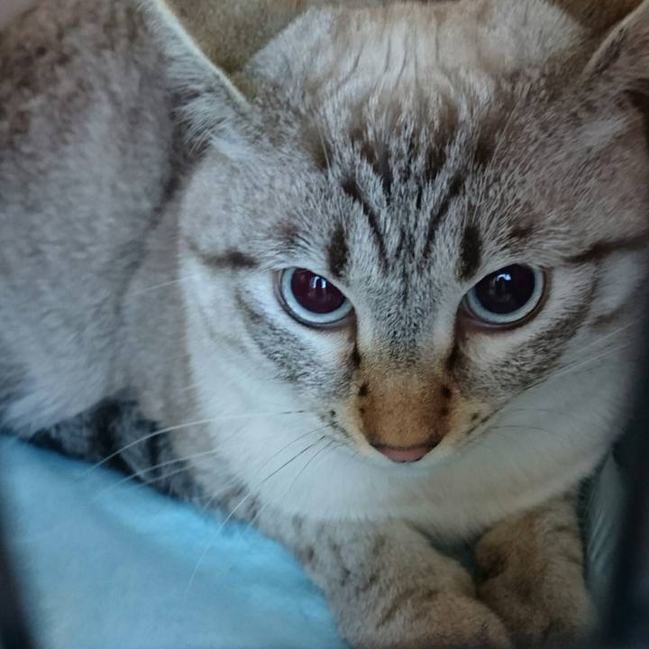 Ecc0436c ee46 4e1b 8c0f 9a4068610ced