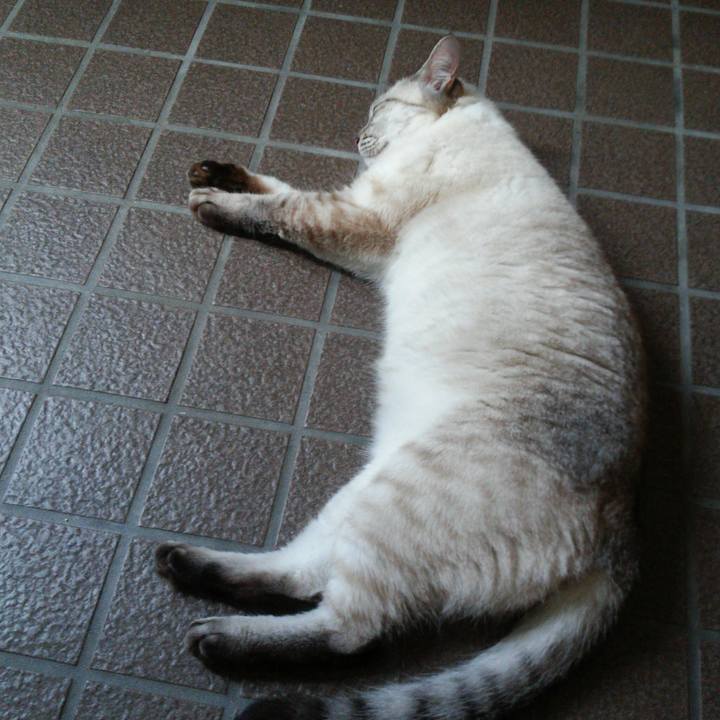 Ecc049f1 6445 4ba4 bdab 4df8e5645743