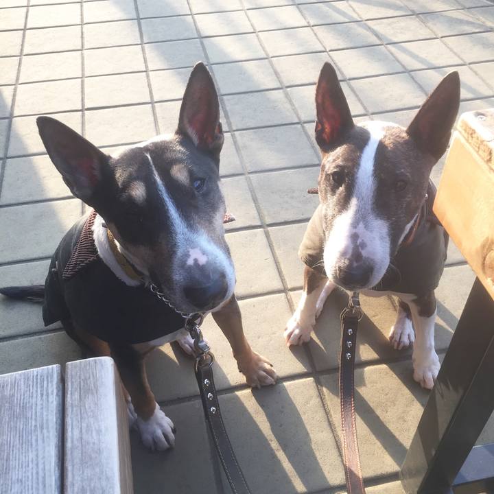 Ecc08353 e8d6 4676 8c4b c7a9c19d1533