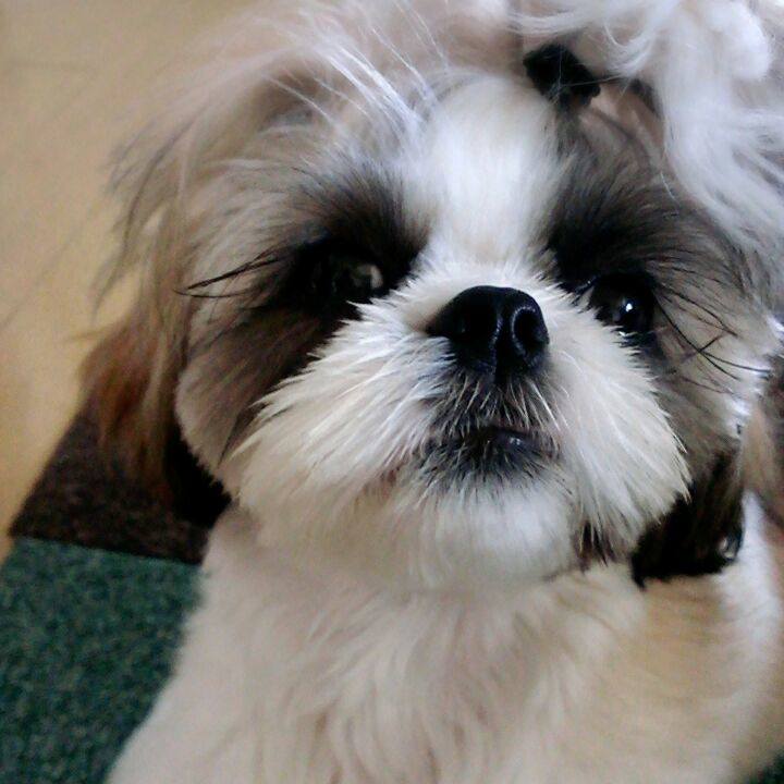 Ecc08575 da06 4e7d 8dc1 354d23d76366