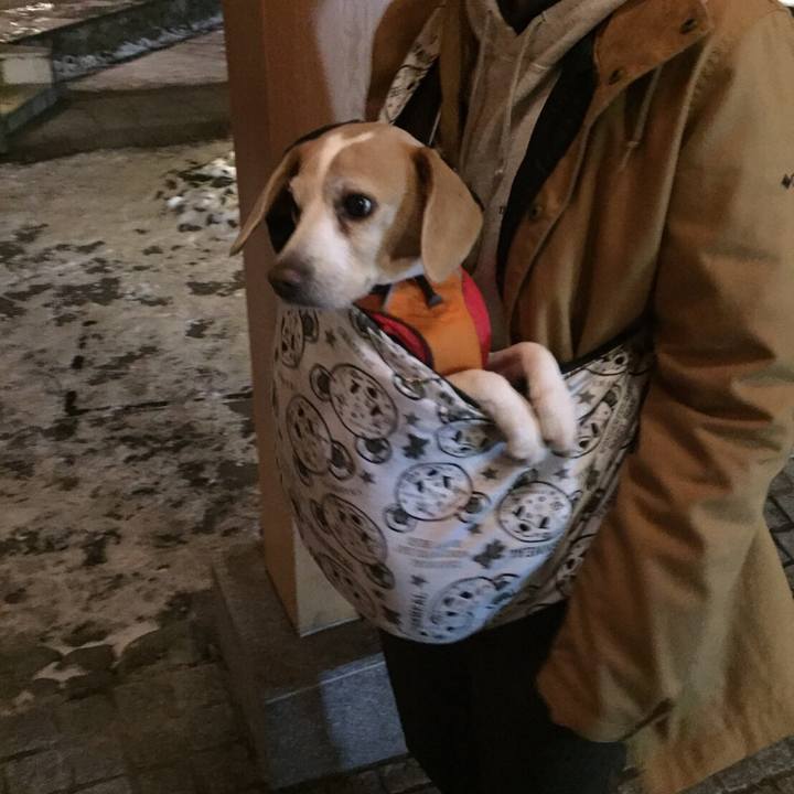 Ecc0bb43 44a7 48cd 8c23 8ce05395012d