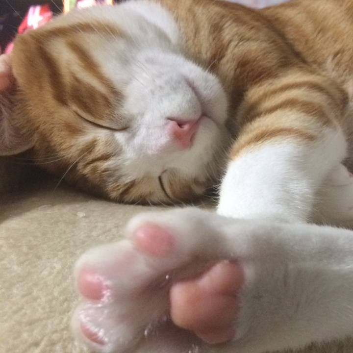 Ecc0eae9 509d 4a07 a500 ac976c0b6da6