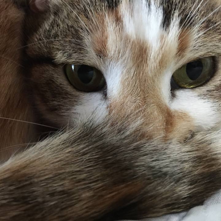 Ecc14006 b94a 4367 8531 aa1838a4373a