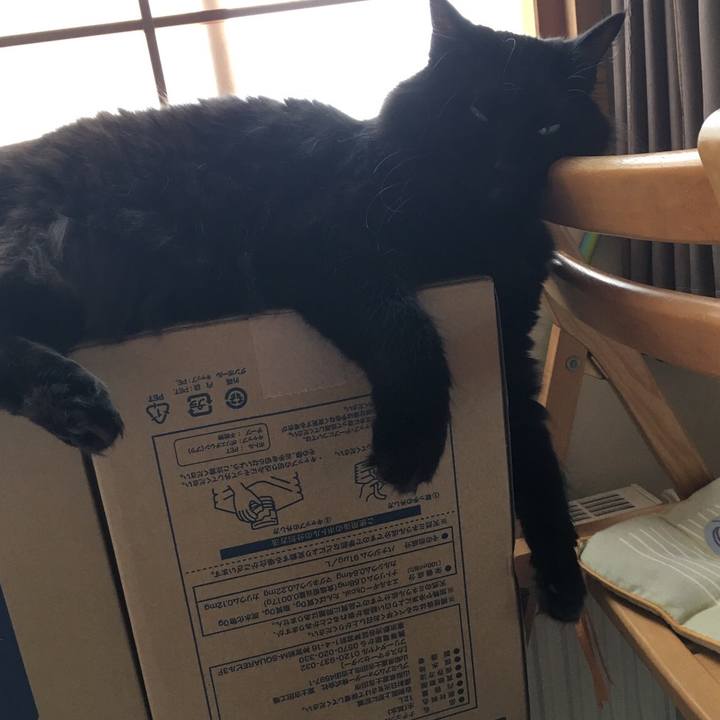 Ecc14815 6fa1 4d42 bc82 4fa26c046dbc