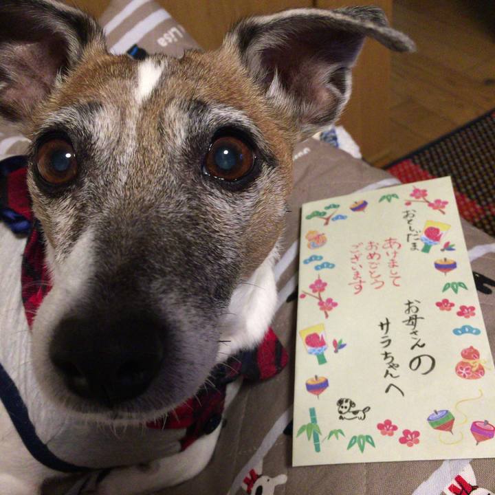 Ecc2f4f3 4a89 43b3 a65d 718eca0683a4