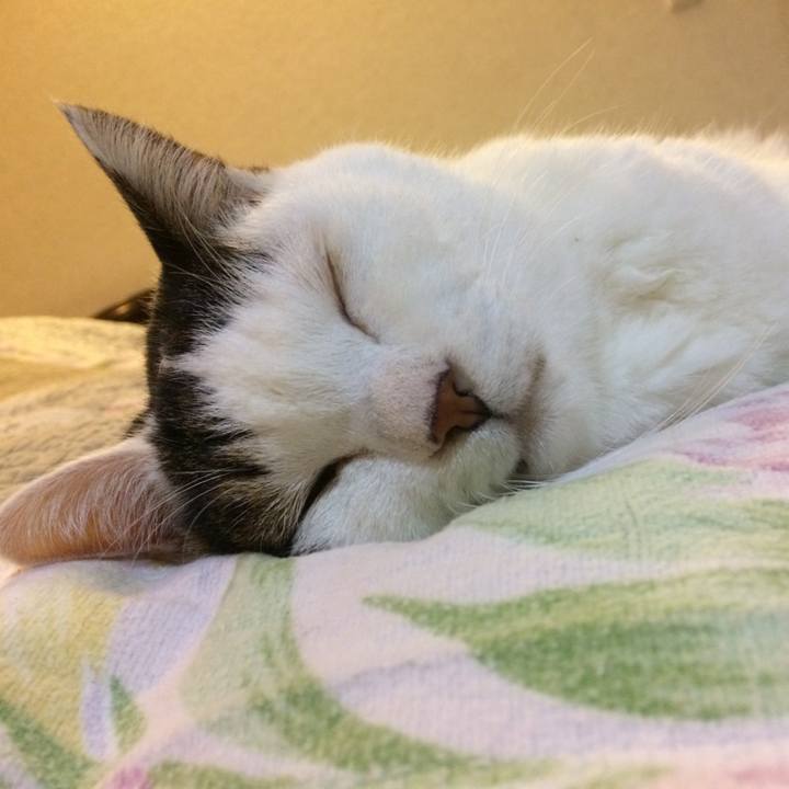 Ecc31410 dd2a 40a4 9dac b5a0b15672ba