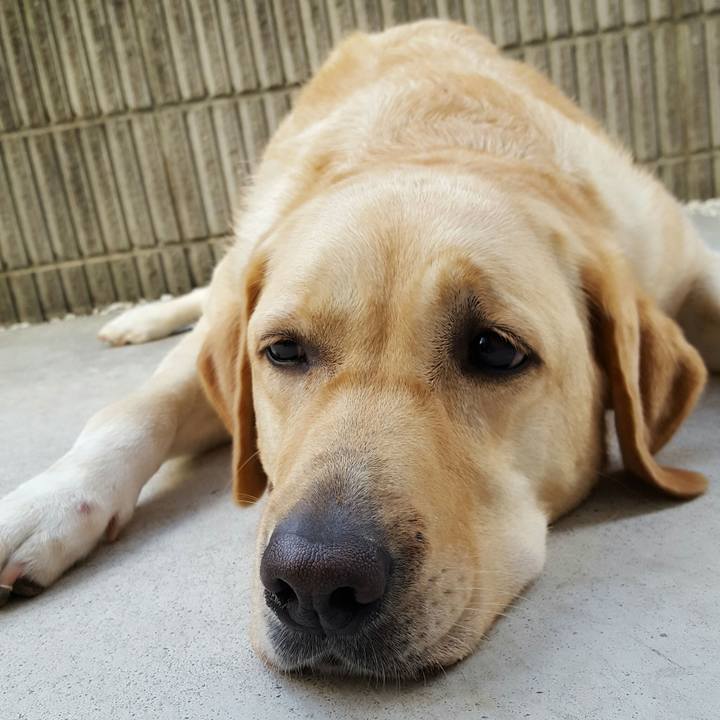 Ecc33442 bbc1 421c 975e 80d3eb265219