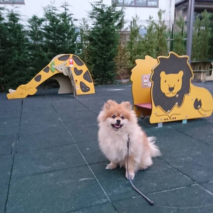 Ecc35e66 6dd8 4021 809a 8963bbad2ad2