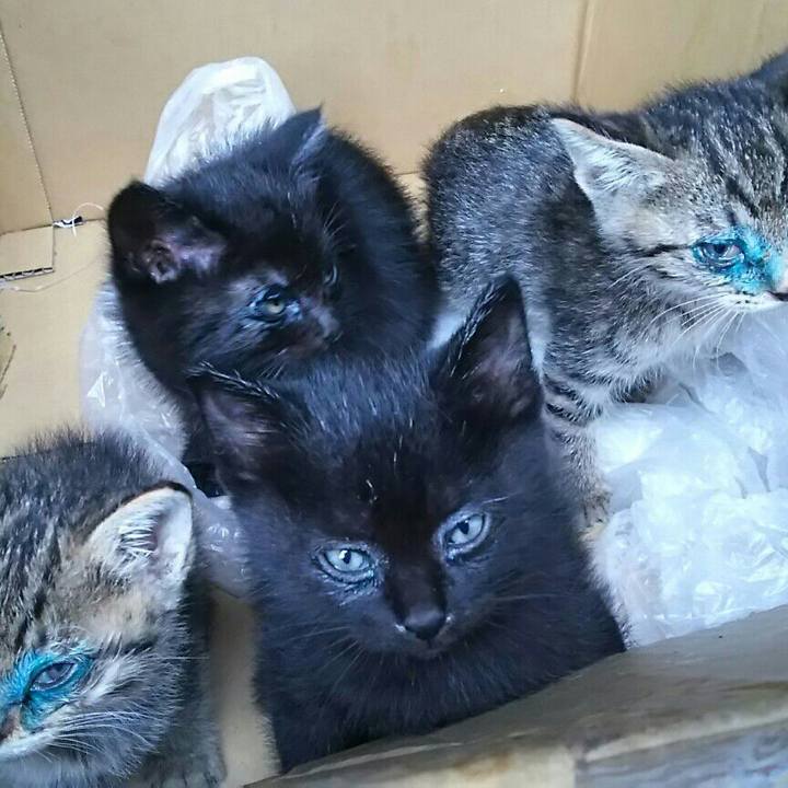 Ecc3632f e17f 41f1 b865 3ae614efe6d6