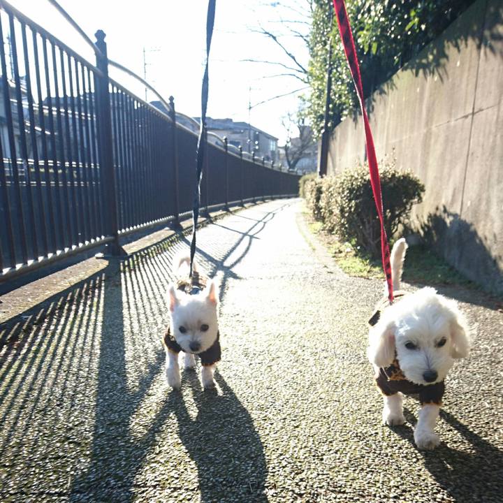 Ecc3771f 8a3d 44a2 8cc0 09b50dc861db