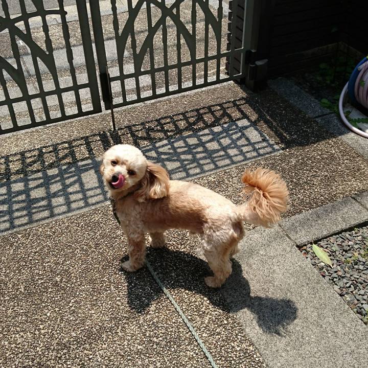 Ecc37c8a c583 4f81 b0c5 e74315d76ad0