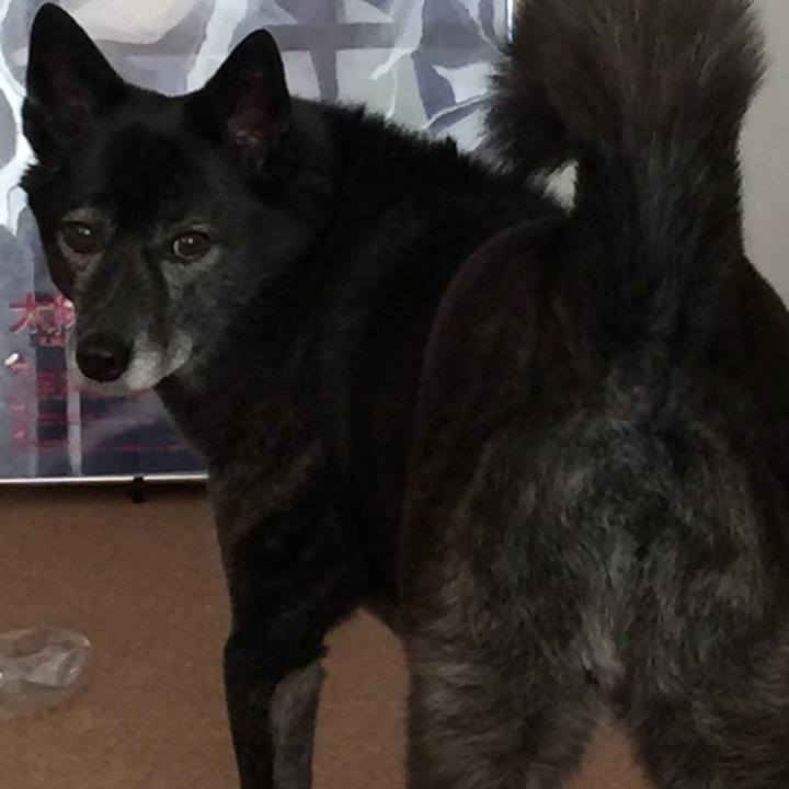 Ecc3bb02 73d8 4b63 9046 26c082995bbd