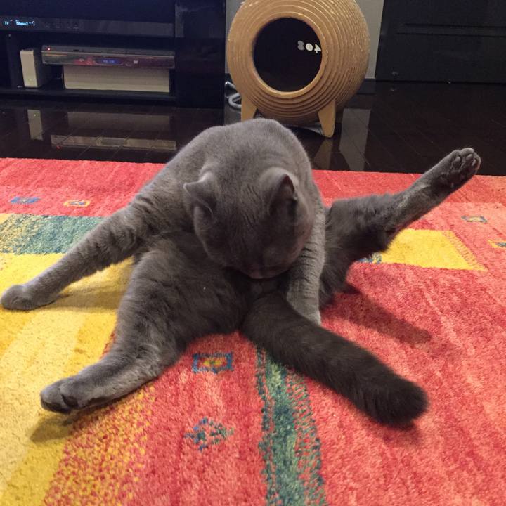 Ecc4142f 8dbb 4f8d a2be c3638635dc7b