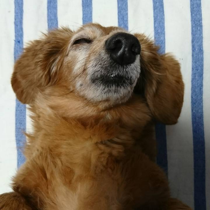 Ecc4bb62 b17c 4c2d 9296 2fa492c7fdb6