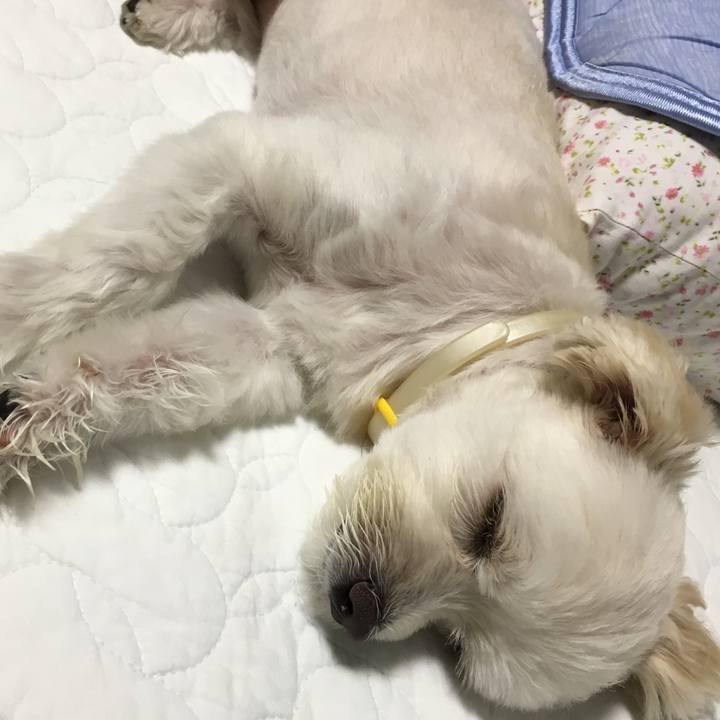 Ecc4f784 e21c 4eef 9b54 e2a8863a767c