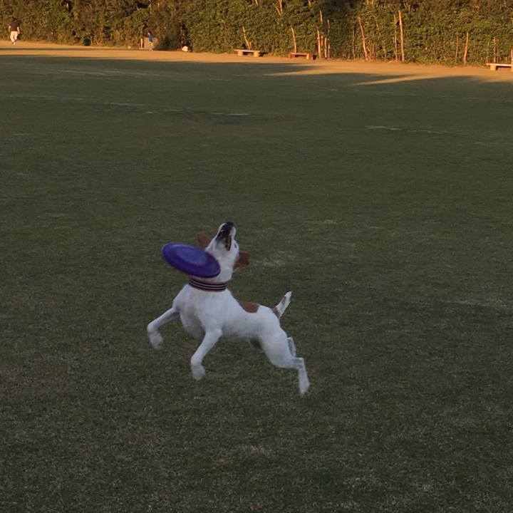 Ecc5110c 317a 4a5c 8cbe 2a1101966b91