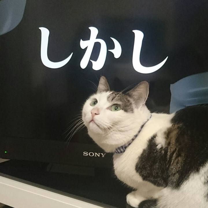 Ecc5b9b3 8e2a 46c7 8655 b238c16d082d