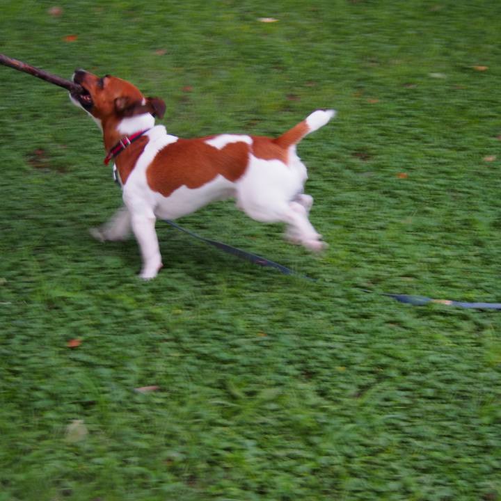 Ecc5d66d 9995 4cd3 8de4 5065a3ec0d10