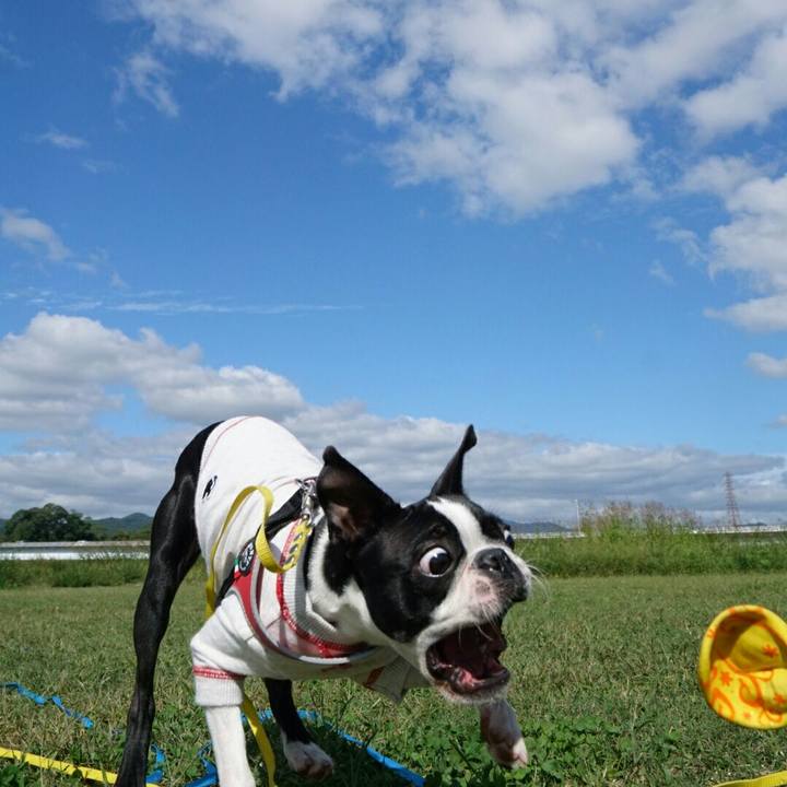 Ecc66d0d f20e 4450 a6e2 d7f43d66d543