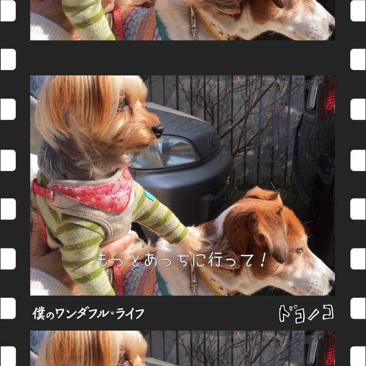 Ecc74560 1827 4395 beeb 1ab506515de6