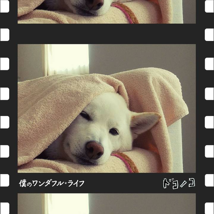 Ecc7d0cd 1139 446f 8247 ec7240908777