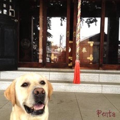 Ecc7d794 1cc2 4287 afd8 88f376b1a433