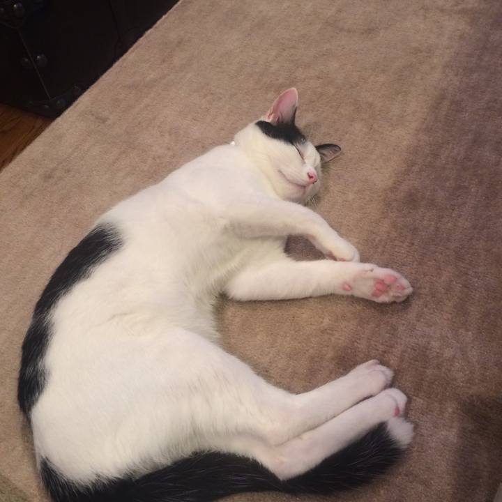 Ecc8e8c0 d897 4076 938e cc2568f5d480