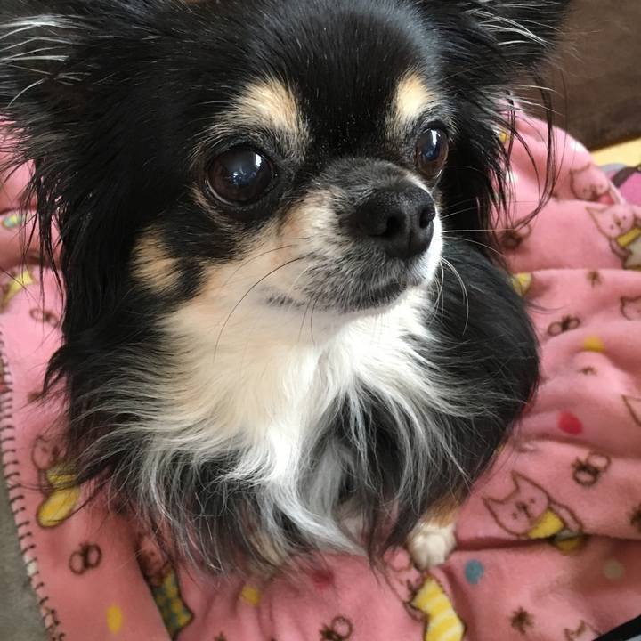 Ecc923c4 a902 4d8a b6dc 483e0edcdfa0