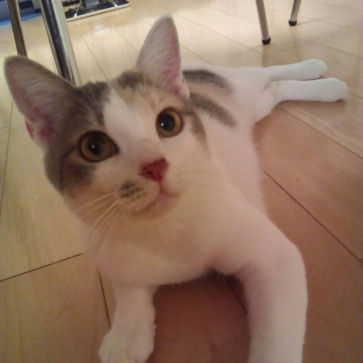 Ecc957a2 c215 4799 bf22 d5e355b7ab9d