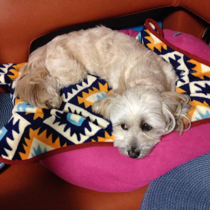 Ecca1f4d d0c9 421b 9d92 c0ae2a2adc11