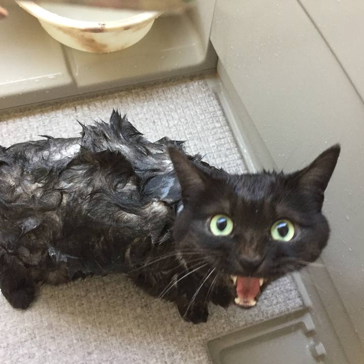 Ecca9512 93d4 4484 9bef adbc49fee4f8