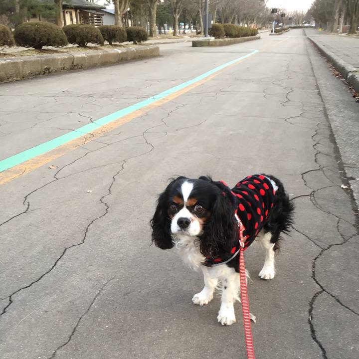 Eccad305 5993 4935 9307 78c873c52850