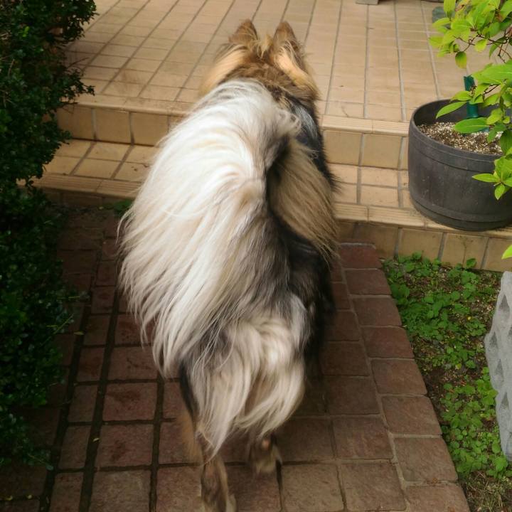 Eccc300c 793f 4505 a3a5 b56fa85ed28a