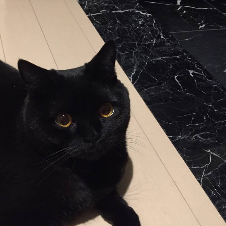 Eccc7b60 e334 4fde 8d5a dbd6e4462a9a