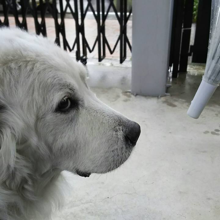 Eccdbcd9 31ff 4b43 8d47 fb90330017b7