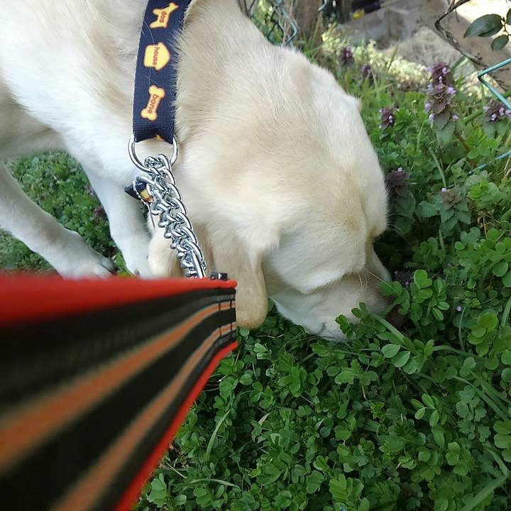 Ecce7105 5507 4963 abc6 ef7eef30f1fc