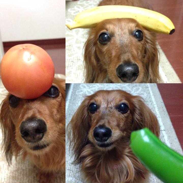 Ecce843f 96c8 4767 b68c be524ea9fff2