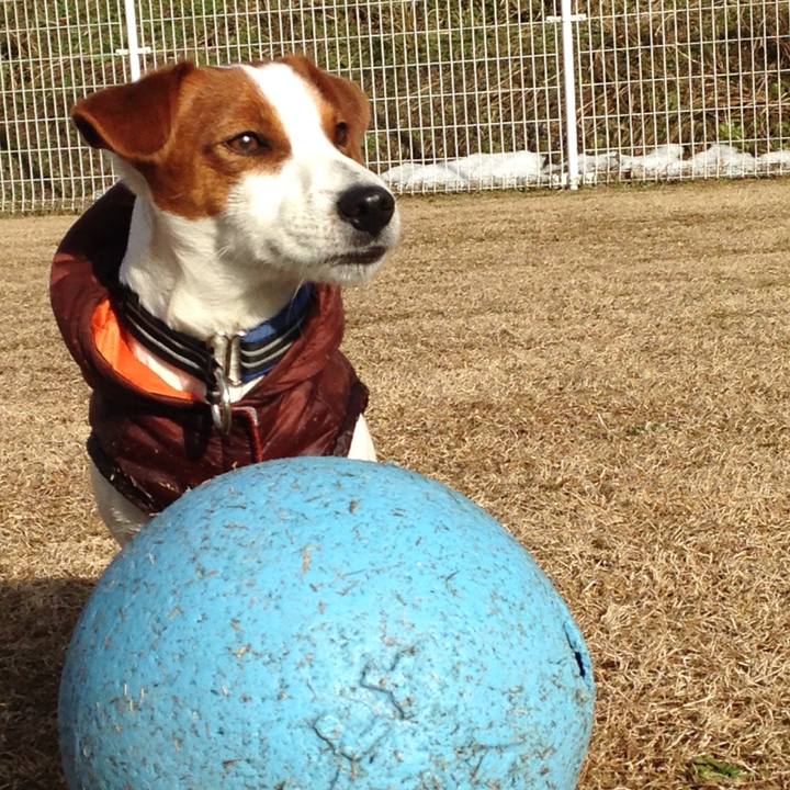 Eccf3fed e10d 4009 bc5f 232efa71737d