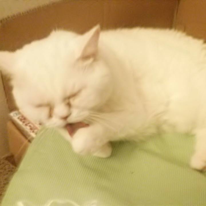 Eccf64f3 4771 44c9 a2f8 54b4f4fe8595