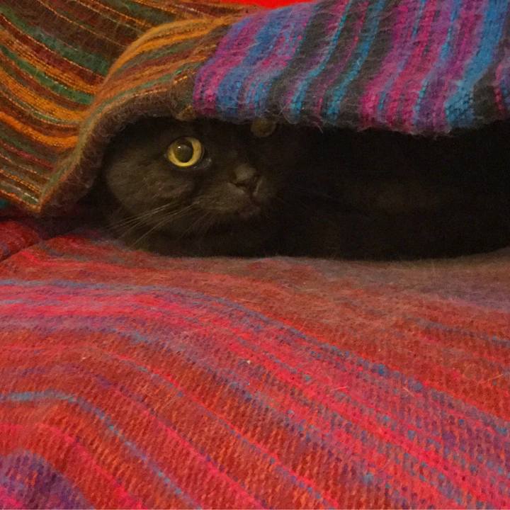 Eccf7fb9 7cce 4bbb 9229 d0ab407f038f