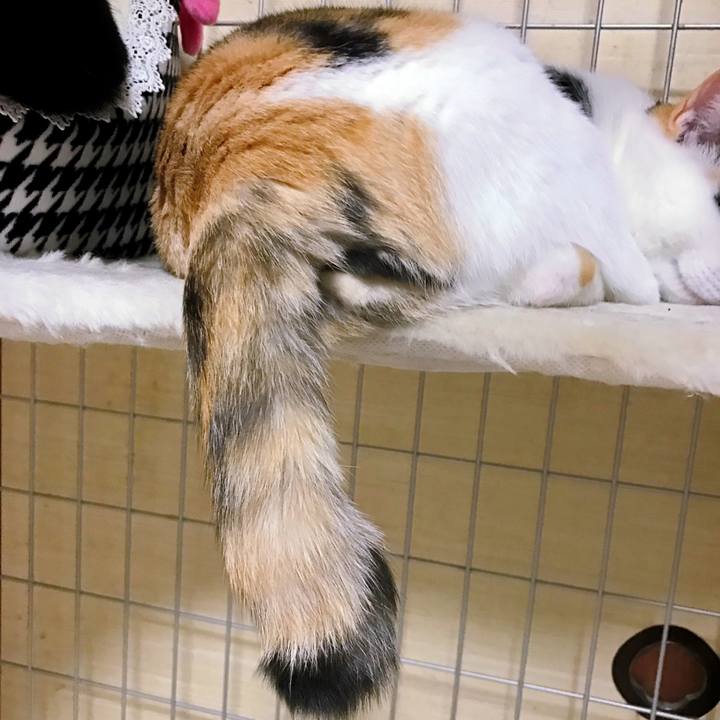 Eccfb905 f66b 43e6 920a 445c70777833