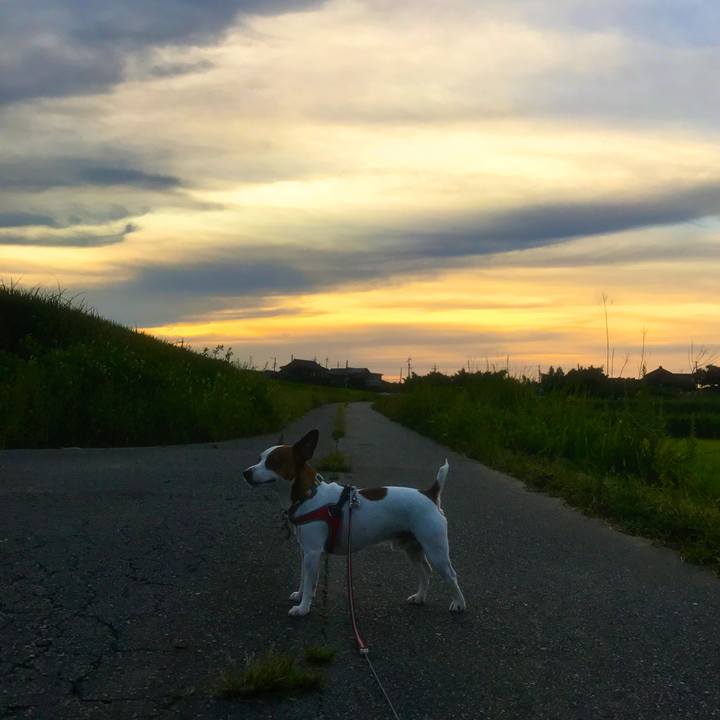 Ecd0370c f699 4cd6 8fa5 2e22ce01d99c