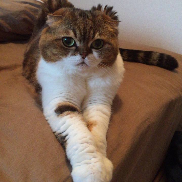 Ecd040e8 f1ac 4ec1 be22 dc9162db850d