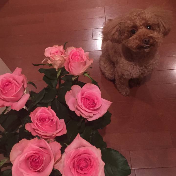 Ecd065c3 3680 40d4 a98d a22855bcb9c2