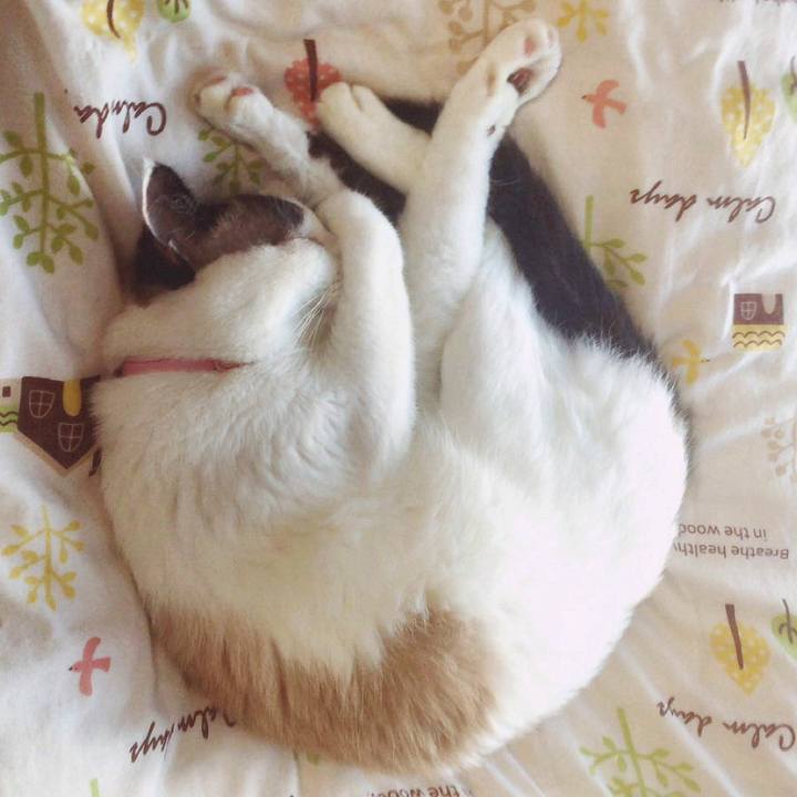 Ecd0a9ed 6d17 4cff 9f5a 11182d922acd